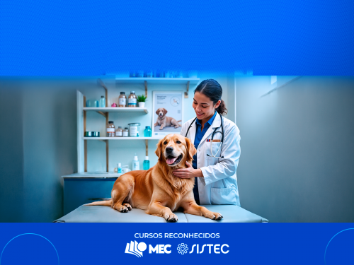 Técnico em Veterinária por Competência